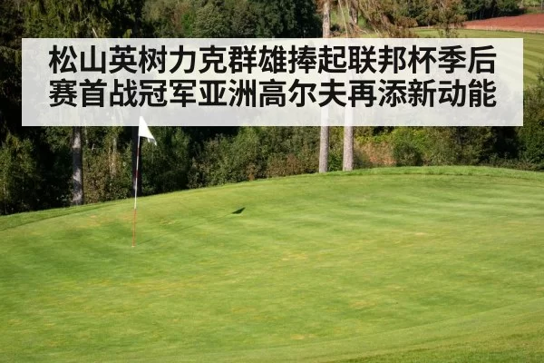 golf iron shot green flagstick